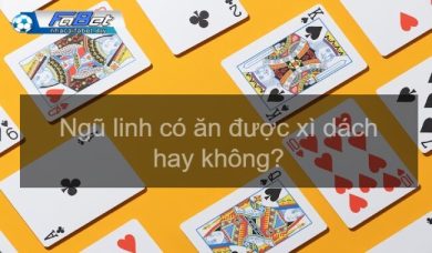 Ngũ linh có ăn được xì dách không? Cách hiểu đúng là gì?