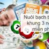 Hướng dẫn cách nuôi bạch thủ lô khung 3 ngày miễn phí